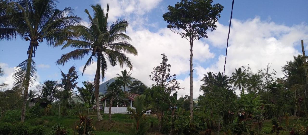 Homestay Talaga And Fishing Pond