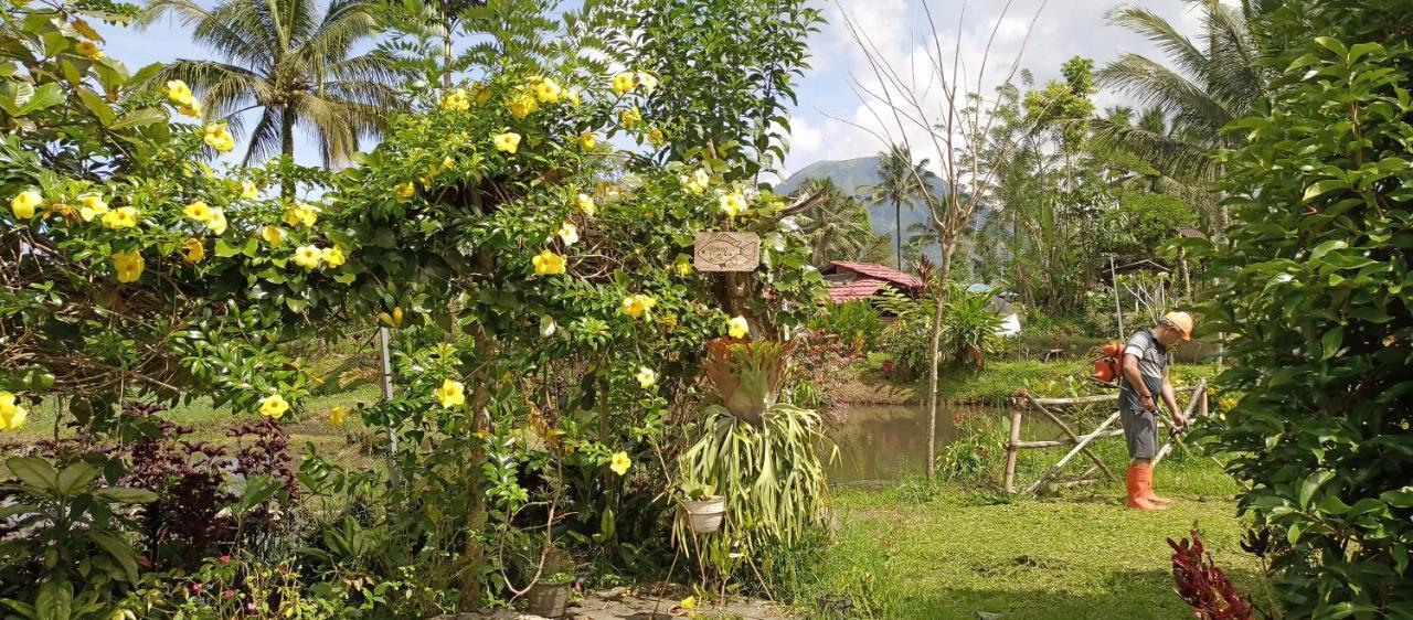 Talaga And Fishing Pond Tomohon
